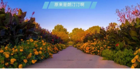 嘘！这些查留学中介资历的小方法， 一般我不告诉别人！！！