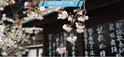 未雨绸缪系列（五） | 一分钟了解日本本科留学申请流程，重点都帮你规划好了！