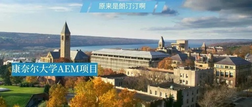【康奈尔大学-AEM项目】最容易进的藤校，最有“钱”景的专业