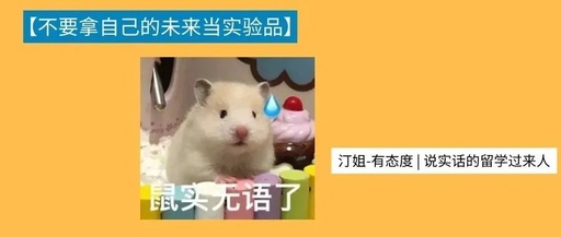 你好，小白鼠，听说你还想尝试留学DIY...