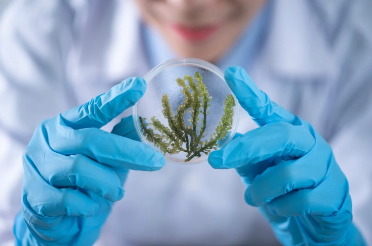 美国留学丨生物化学、生物统计和生物医学工程，这3大专业有何区别？